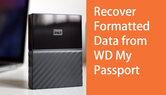 wd my passport format for mac and pc